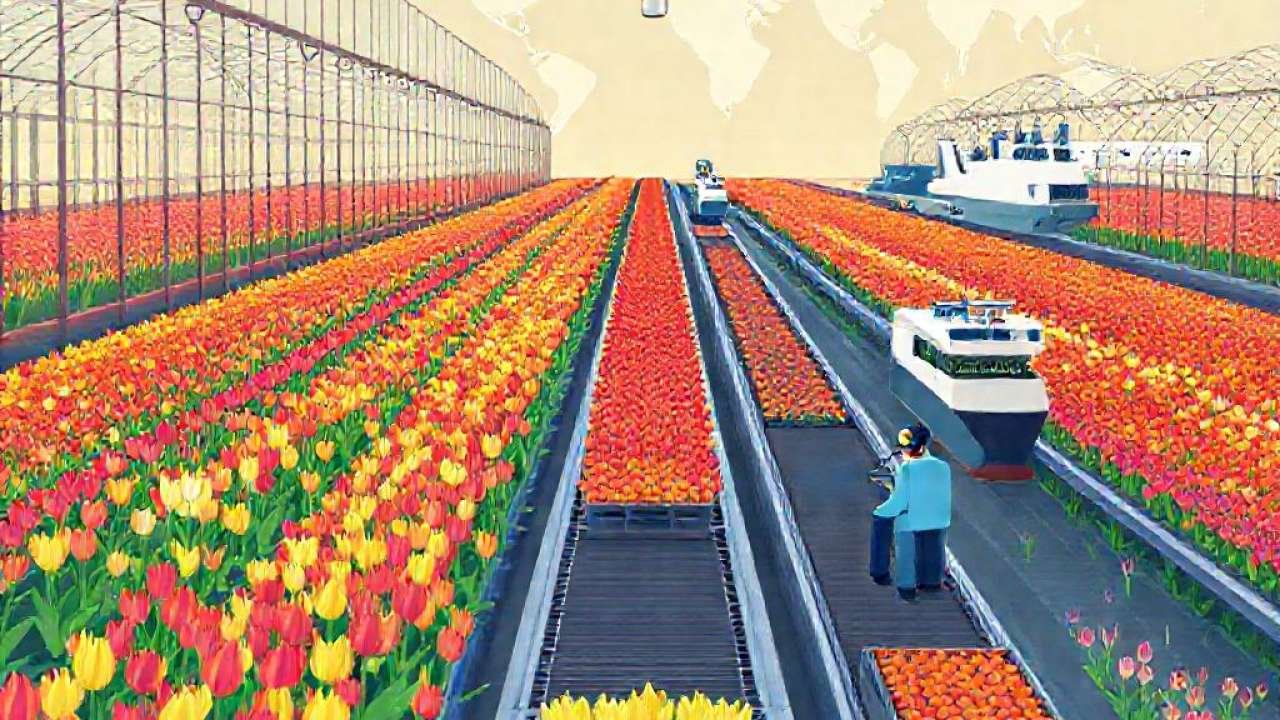 Claves de por qué Holanda domina la exportación de flores