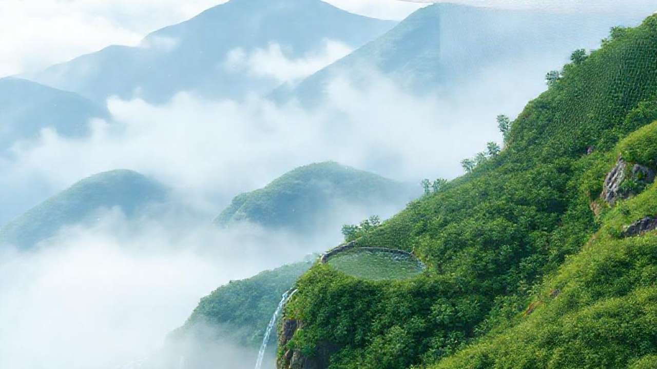 Cómo captar agua del aire y la niebla sin escasez alguna